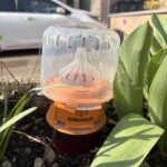 654313805_122105333961277601_2135142136122689036_n