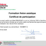 012_Mael FRAIPONT - VV26MF012