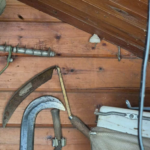 nid-frelon-asiatique-huy